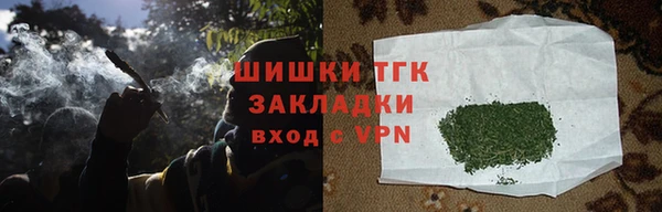 шишки Абинск