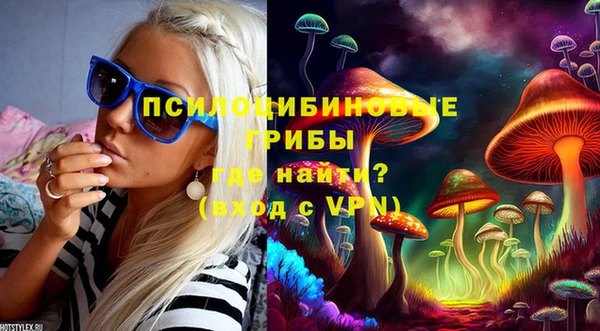 шишки Абинск